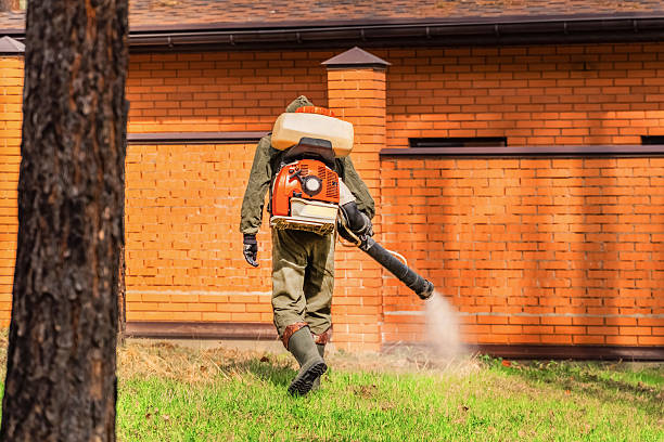 Bed Bug Clearance Verification and Documentation in Peoria
